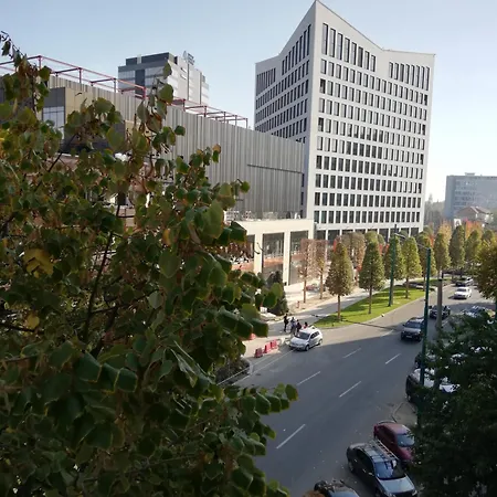 Ruud Mall 2 Timisoara